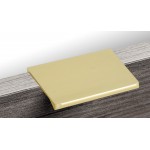 Cabinet Handle (L806-40BG)